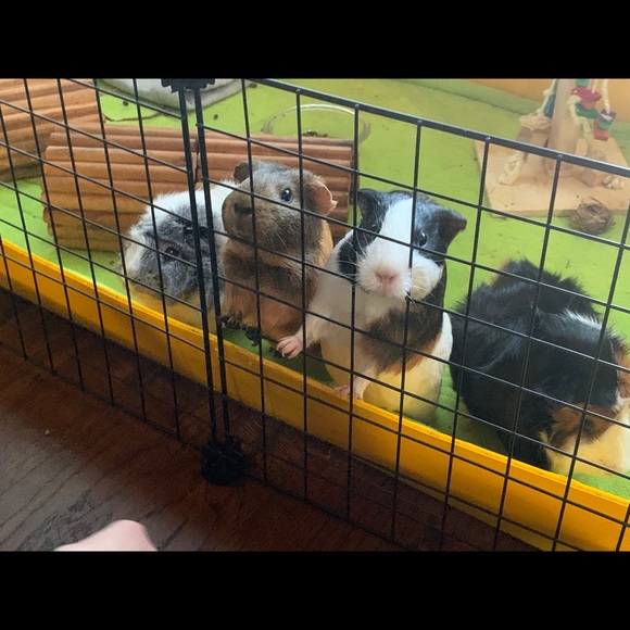 Meet your Posher, Katie - Picture 16 of 16